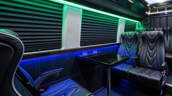 18 passenger sprinter van inside green bay